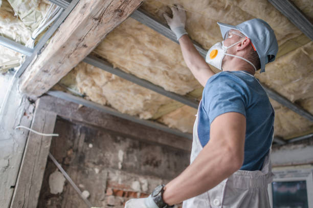 Best Professional Insulation Contractor  in Shortsville, NY