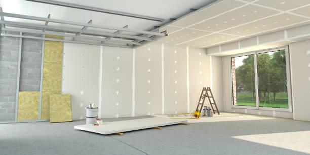 Best Insulation Removal  in Shortsville, NY