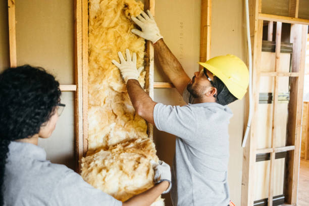Best Commercial Insulation Contractor  in Shortsville, NY