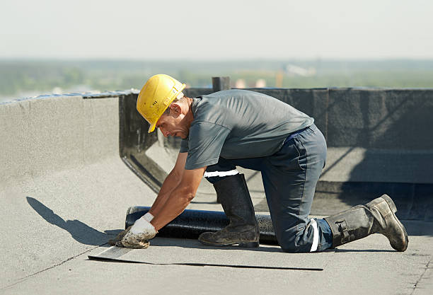 Best Best Insulation Companies  in Shortsville, NY